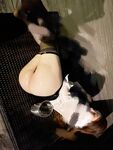 完美露臉SS級魔鬼身材終極美穴上流明星級反差婊RosesJoo私拍金主的玩物戶外露出雙飛調教