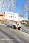 重磅推薦！淫盪肥臀人妻母狗【見過騷的 沒見過這么騷的】喜歡戶外露出，喜歡被很多男人操