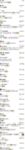 超人氣大神『王動』2022最新重磅私拍 全新嫩模 全裸出鏡 情色藝術完美結合 高清