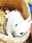 超人氣大神『王動』2022最新重磅私拍 全新嫩模 全裸出鏡 情色藝術完美結合 高清